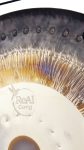 Gong Hariang Frontal Real Gong