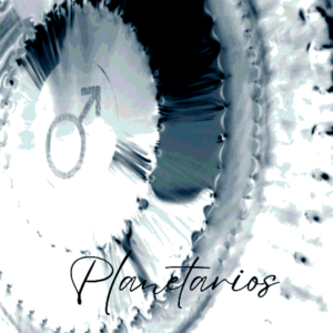 Gongs planetarios