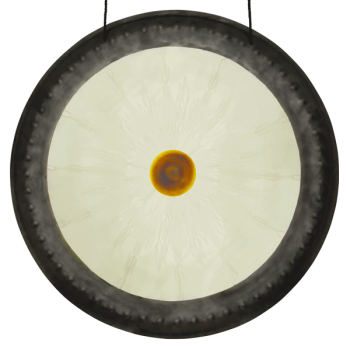 Gong Wahe Guru Fest Real Gong