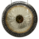 Gong Planetario Venus – Real Gong